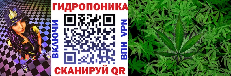 наркотики  Шатура  Бошки марихуана гибрид 